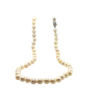 Pre-Owned 14K White Gold Cultured Pearls Necklace