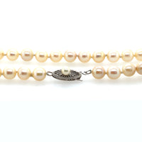 Pre-Owned 14K White Gold Cultured Pearls Necklace