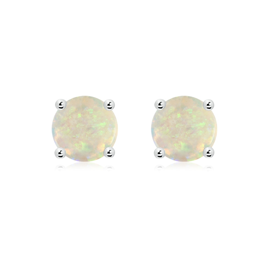 14K White Gold Opal Stud Earrings