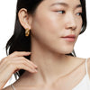 David Yurman Sculpted Cable Hoop Earrings in 18K Yellow Gold, 25mm