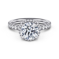 Gabriel & Co. 14K White Gold Hidden Halo Engagement Ring - Elevated Cathedral Setting img1