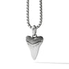 Mens Shark Tooth Amulet
